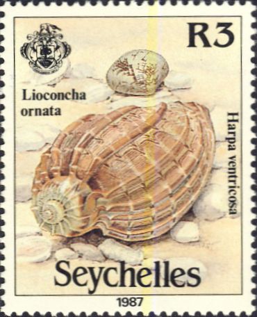Harpa ventricosa Harpa ventricosa