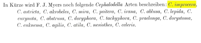 Cephalodella improcera - Original description image