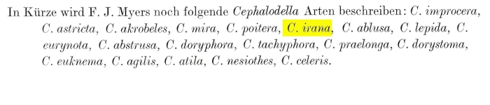 Cephalodella irana - Original description image