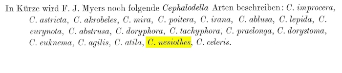 Cephalodella nesiothes - Original description image
