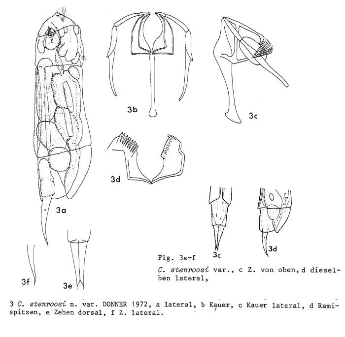 Cephalodella stenroosi var. austriaca
