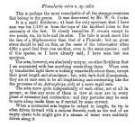 Collotheca mira - Original description image