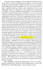 Collotheca monoceros - Original description image