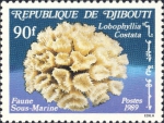 Lobophyllia costata