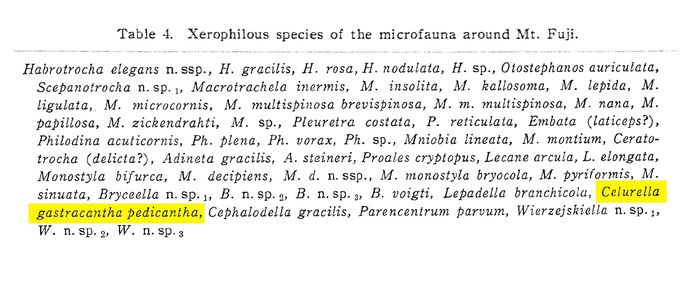 Colurella gastracantha pedicantha - Original description image
