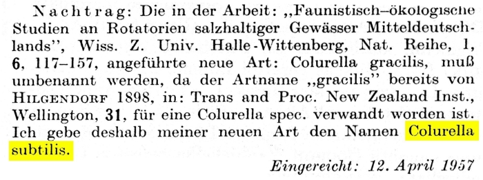 Colurella subtilis - Original description image