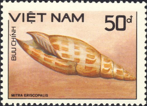 Mitra episcopalis Mitra episcopalis