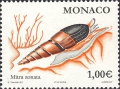 Mollusca (molluscs)