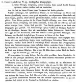 Colurella uncinata deflexa - Original description image