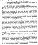 Colurus caudatus - Original description image