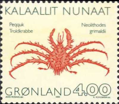 Neolithodes grimaldii Neolithodes grimaldii