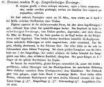Dicranophoroides caudatus