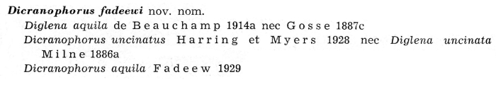 Dicranophorus fadeewi - Original description image