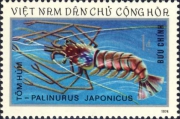 Palinurus japonicus, author: Collection Georges Declercq 