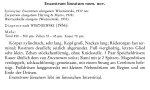 Encentrum lineatum