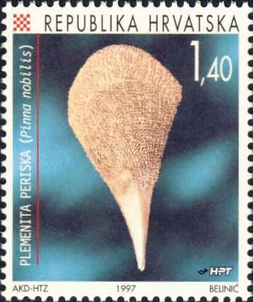 Pinna nobilis Pinna nobilis