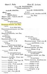 Enteroplea lacustris