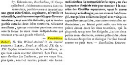 Esechielina bakeri - Original description image