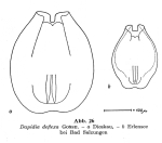 Euchlanis deflexa