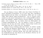 Euchlanis incisa