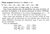 Filinia longiseta var. minor - Original description image