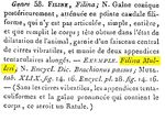 Filinia mulleri