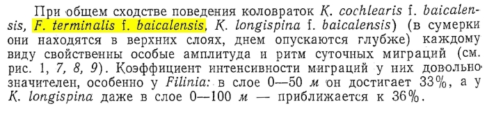 Filinia terminalis f. baicalensis - Original description image