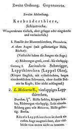 Floscularia melicerta - Original description image