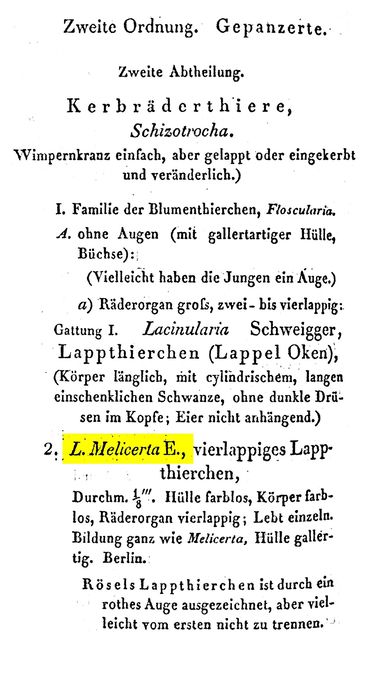 Floscularia melicerta - Original description image