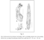 Habrotrocha fuscochlaena