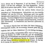 Habrotrocha leitgebii - Original description image