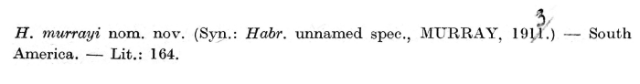 Habrotrocha murrayi - Original description image