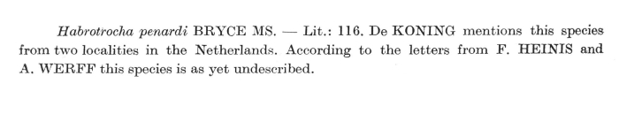 Habrotrocha penardi - Original description image