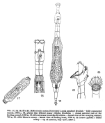 Habrotrocha serpens