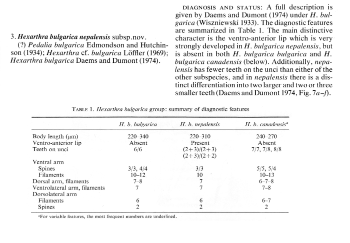 Hexarthra bulgarica nepalensis - Original description image