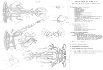 Hexarthra mira