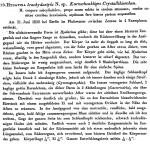 Hydatina brachydactyla - Original description image