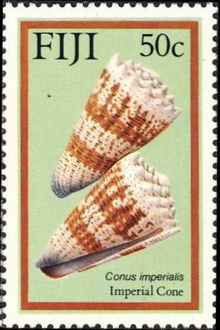 Conus imperialis Conus imperialis