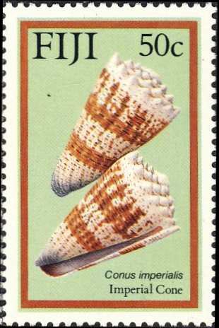 Conus imperialis