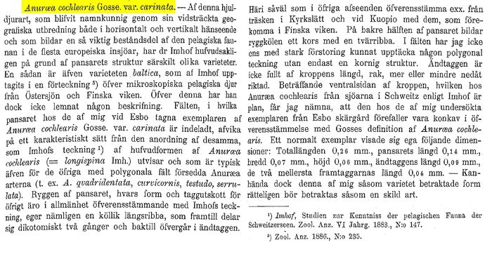 Keratella cochlearis var. carinata - Original description image