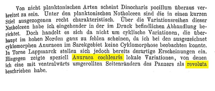 Keratella cochlearis var. revoluta - Original description image