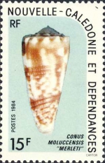 Conus moluccensis