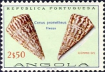 Conus prometheus