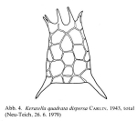Keratella quadrata dispersa
