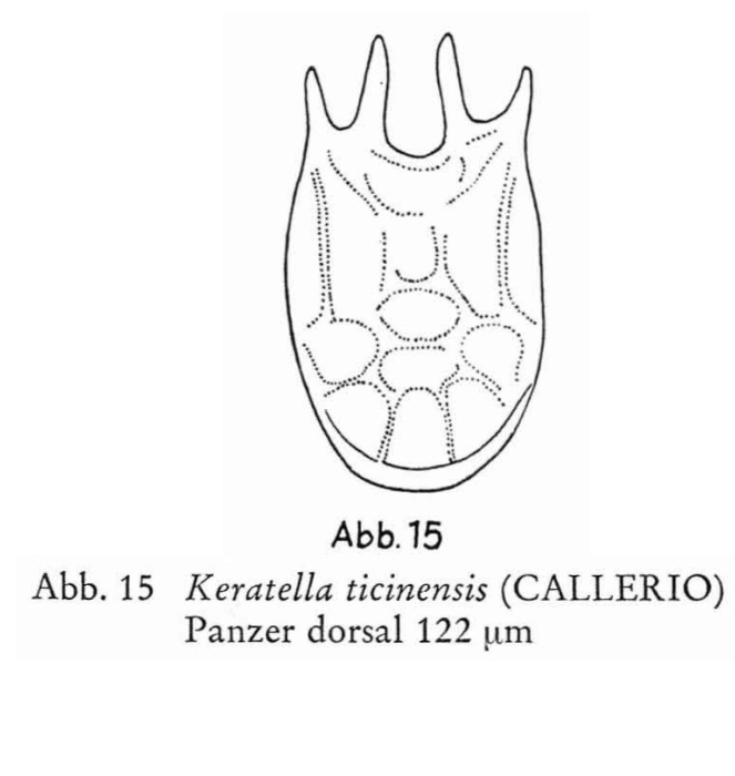Keratella ticinensis