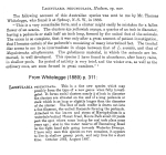 Lacinularia pedunculata - Original description image