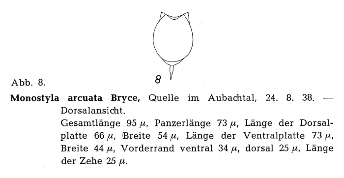Lecane arcuata Lecane arcuata