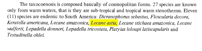 Lecane astia Lecane astia