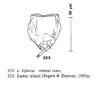 Lecane bifurca