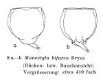 Lecane bifurca